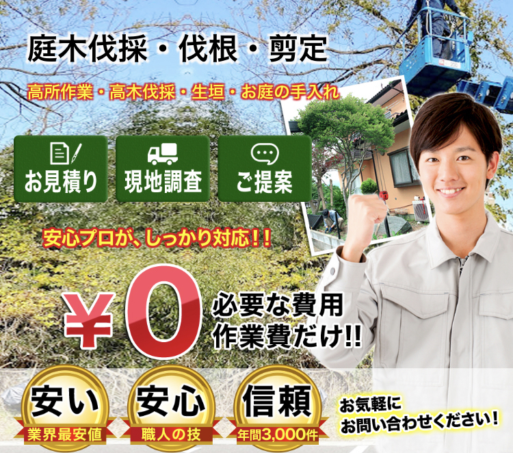 木の伐採・庭木伐採・伐根（ばっこん）伐採業者 | 福島の不用品回収なら福島便利屋110番