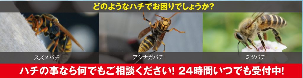 スズメバチ種類