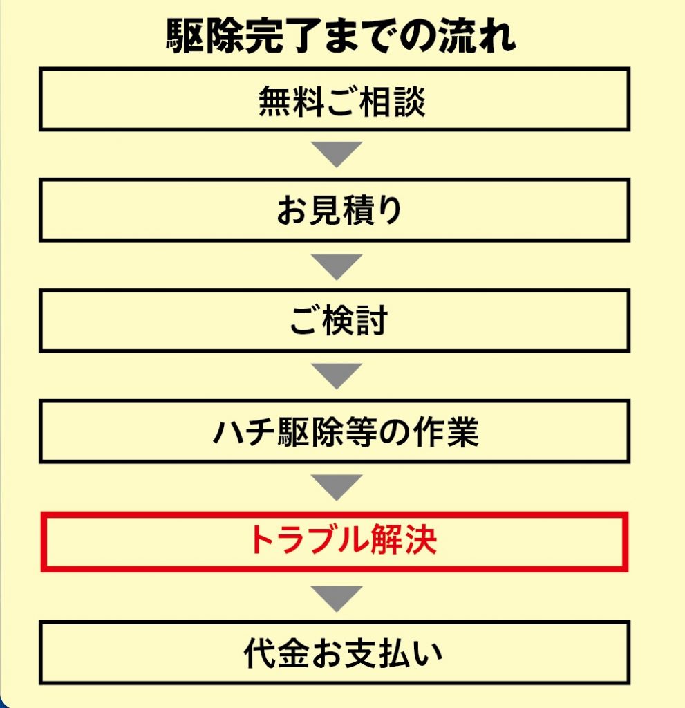 ハチ駆除流れ