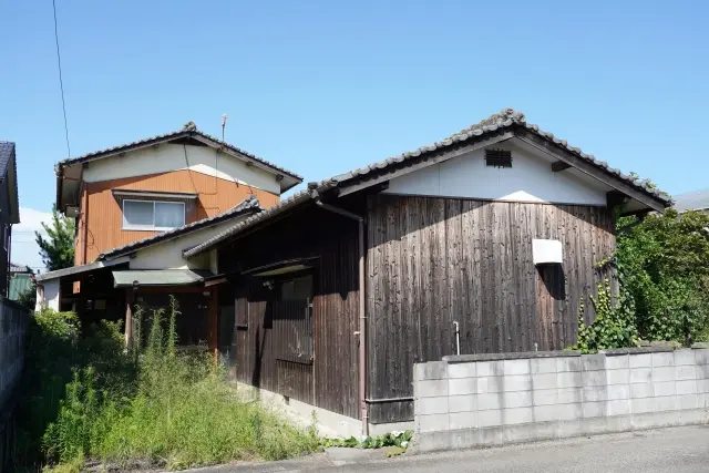 外壁や屋根に這い上がったツタの悩み